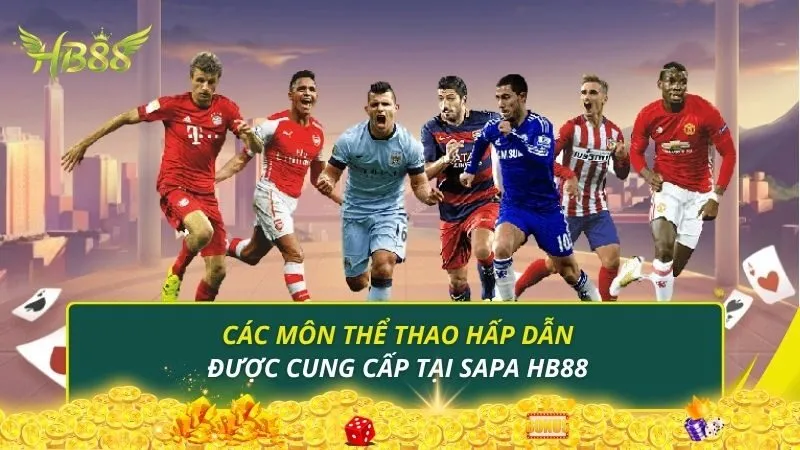 Các môn thể thao hấp dẫn được cung cấp tại Sapa HB88